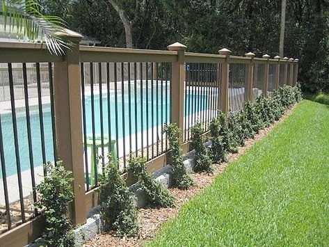 Diy Pool Fence, Fence Around Pool, Concrete Patios, Backyard Privacy, Diy Fence, Backyard Pool Landscaping, Pool Fence, Diy Pool, Fence Landscaping