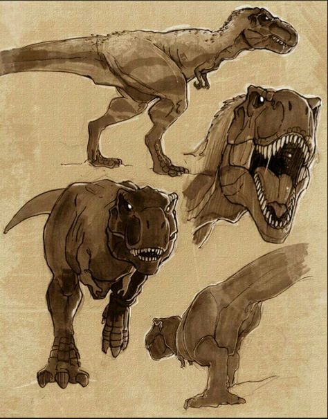 Dino Drawing, Dinosaur Sketch, Arte Doodle, Dinosaur Drawing, Dinosaur Illustration, Jurassic World Dinosaurs, Paleo Art, Extinct Animals, Dinosaur Art