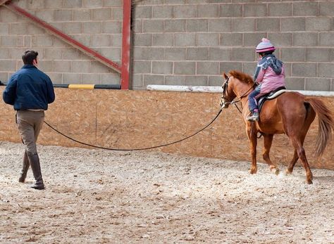 Say thanks to your good teachers What makes a great teacher? Is it someone accomplished at a high level?  Someone who has won blue... Riding Lessons, Funny Horse, Best Teacher, Big Data, Horse Riding, Equestrian, Don't Forget, Coaching, Horses