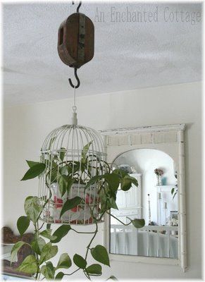 An Enchanted Cottage: This bird cage planter may be short-lived.... Bird Cage Planter, Garden Upcycling, Old Bird Cage, Bird Cage Ideas, Living Wreaths, Birdcage Decor, Birdcage Planter, Rustic Birdhouses, Hanging Bird Cage