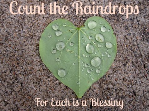 Count the Raindrops, For each is a blessing Rain Blessing Quote, Rain Quotes, Heart Lights, Blessed Quotes, Motivational Thoughts, Bible Art Journaling, Bible Art, Rain Drops, A Blessing