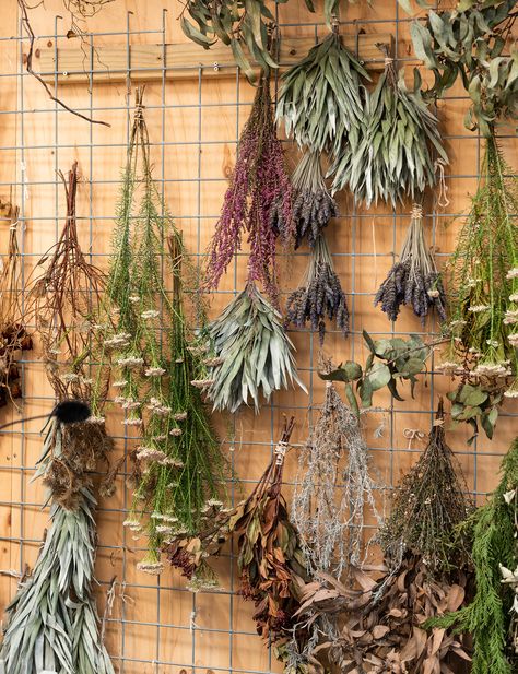 How to make a stunning, yet simple, dried floral arrangement Dried Herbs Hanging Decor, Dry Flower Photography, Wall Of Dried Flowers, Dry Flower Decoration, Dried Flower Storage Ideas, Dried Flower Storage, Dry Plants Decoration, Hanging Flowers Decor, Flower Drying Rack