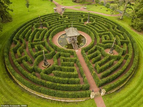 Maze Garden Design, Maze Landscape Design, Garden Mazes, Maze Garden, Labyrinth Landscape, Hedge Maze Map, Amazing Maze, Garden Maze, Dumfries House