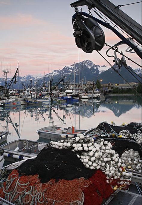 Visiting Alaska, Alaska Salmon Fishing, Valdez Alaska, Halibut Fishing, North To Alaska, Alaska Railroad, Commercial Fishing, Alaska Fishing, Deadliest Catch