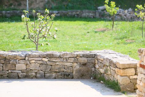 Low Stone Wall Garden, Low Stone Wall, Perenial Garden, Garden Clothesline, Stone Walls Garden, York Stone, Walled Courtyard, Crows Nest, Stone Retaining Wall