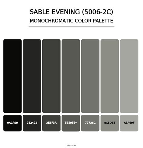 Sable Evening (5006-2C) - Monochromatic Color Palette Black And Grey Color Palette, Gray Pallet, Gray Hex, Gray Color Palette, Monochromatic Color Palette, Black Color Palette, Opposite Colors, Grey Color Palette, Color Picker