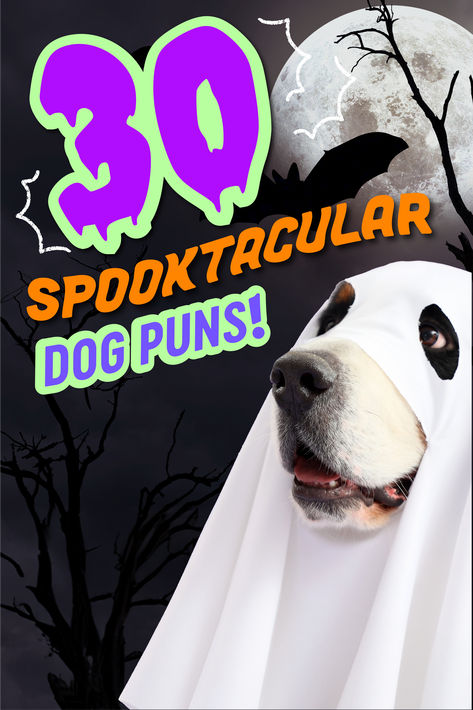 Dog Halloween Sayings, Halloween Dog Puns, Dog Halloween Party Ideas, Skeleton Jokes, Dalmatian Halloween, Halloween Puns, Dog Puns, Dog Meet, Halloween Dog