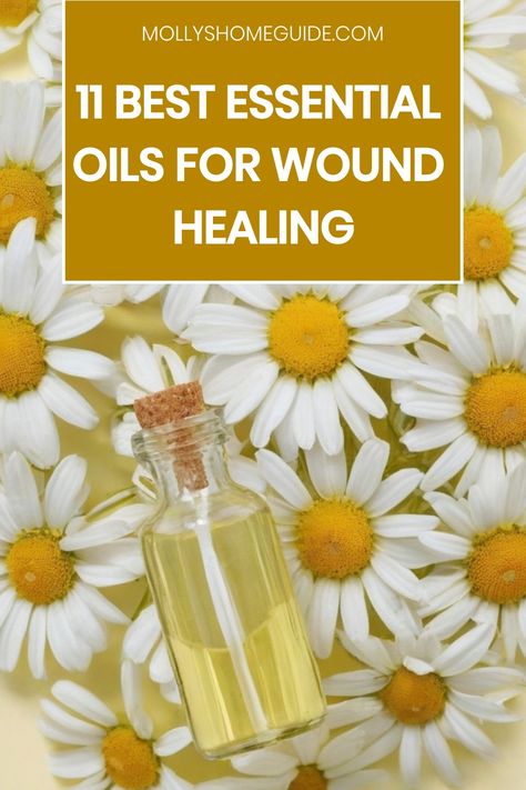 Essential Oils For Infection On Skin, Essential Oils For Infection, Essential Oils For Wound Healing, Yarrow Salve, Top Essential Oils, Wild Food Foraging, Salve Recipes, Healing Essential Oils, Wound Care