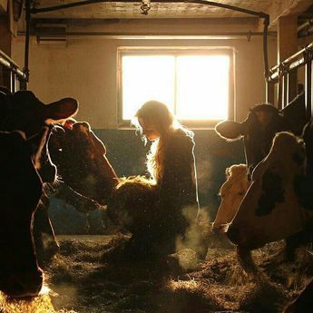 : Farm Aesthetic, Shooting Couple, Future Farms, Farm Photography, Farms Living, Ranch Life, Down On The Farm, Through The Window, A Barn