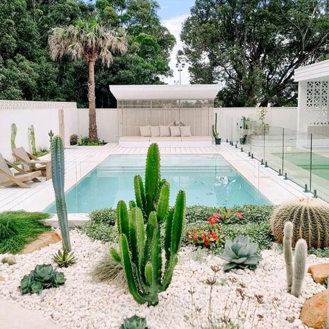 Palm Springs House Exterior, Palm Springs Backyard, Palm Springs Landscaping, Palm Springs Garden, Plants Around Pool, Palm Springs Pool, Palm Springs House, Pool House Designs, Outdoor Pool Area