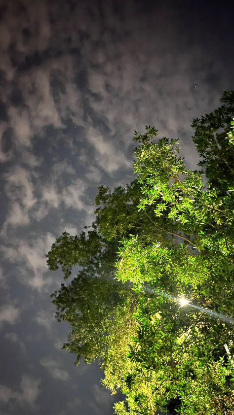 Beautiful Eyes Pics, Night Mode, Sky Photography Nature, Night Scenery, Aesthetic Photography Nature, Beautiful Nature Wallpaper, Night Sky Photos, Night Aesthetic, Green Trees