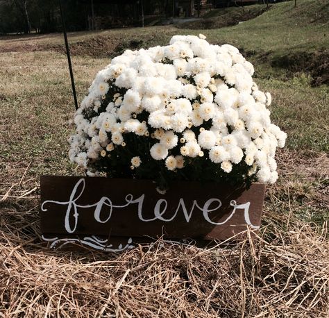 Hand lettered forever sign by Hannah! White mum. Country outdoor fall wedding! White Mum Wedding Decor, Mum Wedding Decorations, Mums At Wedding, White Mums Wedding, Mums Wedding Flowers, Fall Wedding Mums, Wedding Mums, Diy Fall Wedding Decorations, Forever Sign