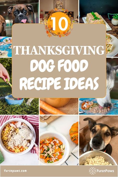 Thanksgiving Meals For Dogs Turkey Dog Food Recipes Crockpot, Dog Friendly Thanksgiving Dinner, Thanksgiving Dog Treat Recipes, Dog Thanksgiving Dinner, Ground Turkey Dog Food Recipes, Turkey Dog Food, Thanksgiving Dog Treats, Meals For Dogs, Thanksgiving Recipe Ideas