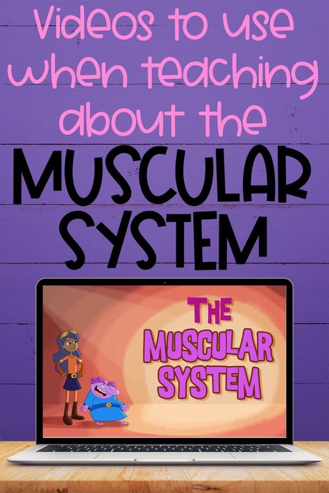 One of my favorite things to teach is the human body! Do you teach about the muscular system in your class? I do, so I am always on the hunt for quality videos to use while teaching the muscular system. Muscular System Activities For Elementary, Skeletal And Muscular System Activities, Muscle Activities For Kids, Muscular System Project, Muscular System For Kids, Muscular System Activities, Human Body Systems Activities, Body Systems Activities, Apologia Anatomy