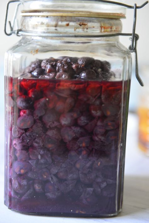 Grape Mead Recipe, Make Wine From Grapes, Things To Do With Concord Grapes, Fox Grape Recipes, Grape Vinegar Recipe, Grape Canning Ideas, Grape Liqueur Recipe, Concord Grape Recipes Easy, What To Do With Concord Grapes