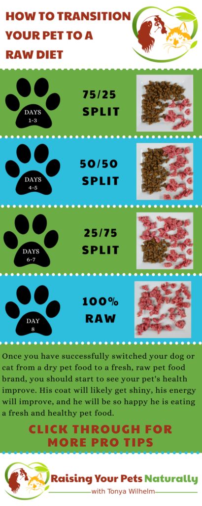 Raw Cat Food Diet, Caramel Food, Raw Cat Food, Raw Dog Food Diet, Raw Cat Food Recipes, Natural Cat Food, Homemade Cat Food, Pets Food, Raw Pet Food