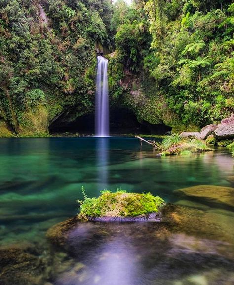 The beautiful Omanawa Falls located just out of Tauranga 💦 Great shot by @kiwipicsnz Tauranga New Zealand, New Zealand Trip, New Zealand Food, New Zealand Travel, Beach Sand, Places To See, New Zealand, Nature Photography, National Parks