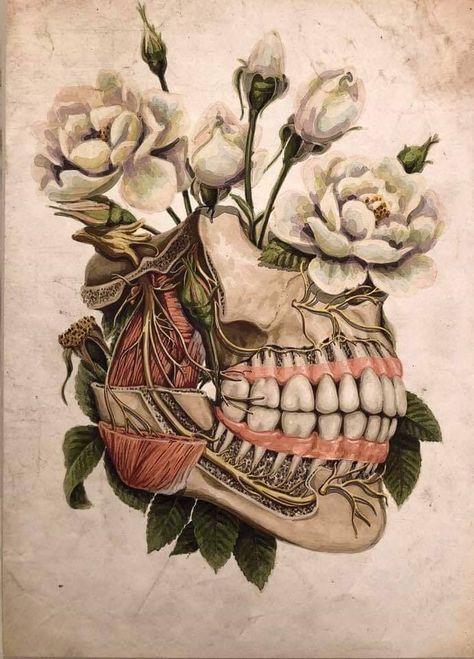 Floral Brain, Dental Wallpaper, Dentist Art, Dental Aesthetics, Dentistry Student, Teeth Art, Dental Anatomy, Dental Fun, Dental Office Decor