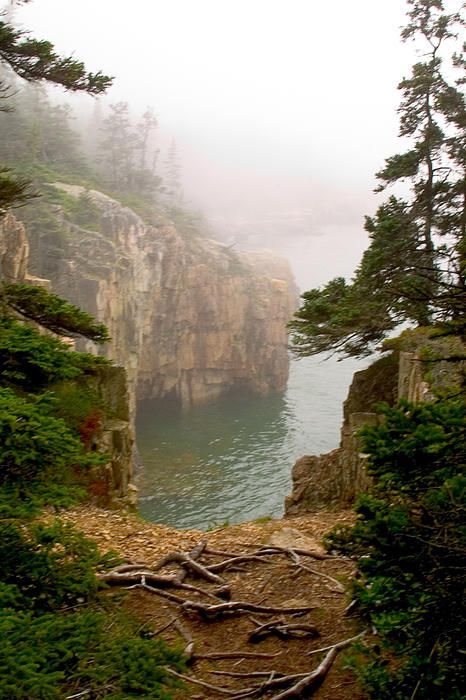 Schoodic Point Me | ... Roost in the fog near Schoodic Point, Acadia National Park, Maine Acadia National Park Maine, American National Parks, Mount Desert Island, Acadia National Park, The Fog, Mississippi River, Recipe Inspiration, Small Island, National Monuments