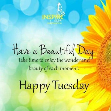 Good Morning Tuesday Wishes, Happy Tuesday Pictures, Happy Tuesday Images, Good Morning Tuesday Images, Tuesday Pictures, Happy Tuesday Morning, Tuesday Quotes Good Morning, Tuesday Images, Tuesday Greetings