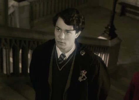 Slytherin Funny, Christian Coulson, Hogwarts Life, Young Tom Riddle, Tom Hughes, Harry Potter Quiz, Fav Movie, Lily Potter, Harry Potter Icons