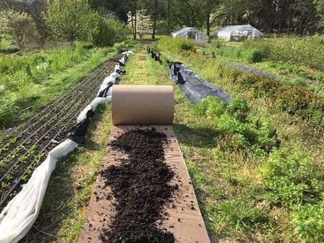 Deep Mulch Gardening, No Till Farming, Geo Dome, Yard Crashers, Food Forest Garden, Tunnel Greenhouse, Permaculture Principles, Regenerative Farming, Productive Garden