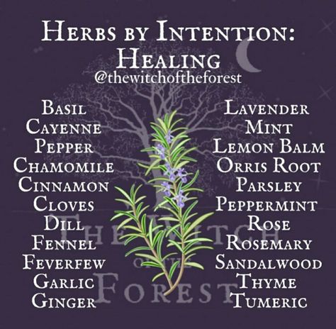 Herb Meanings, Herbs For Healing, Herbal Witch, Witchcraft Herbs, Magickal Herbs, Medicinal Herbs Garden, Witch Herbs, Green Witchcraft, Witch Garden