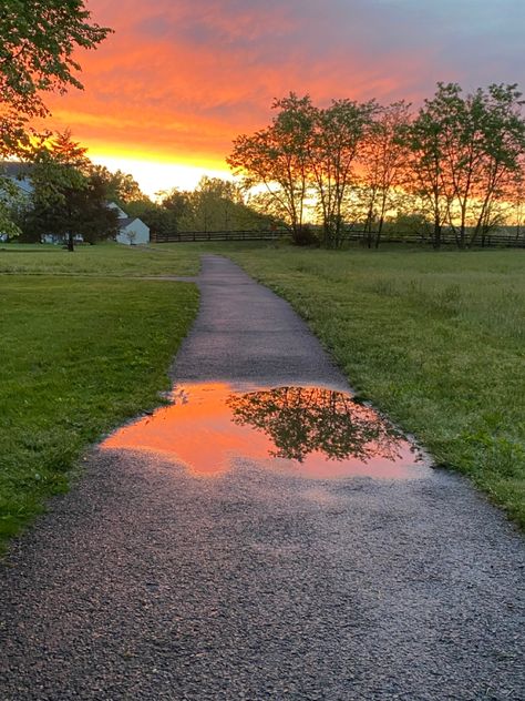 sunset in a puddle Puddle Reflection, Water Puddle, Reflection Pictures, Pretty Sunset, Scavenger Hunt, Spring Time, Drawing Ideas, Country Roads, The Creator