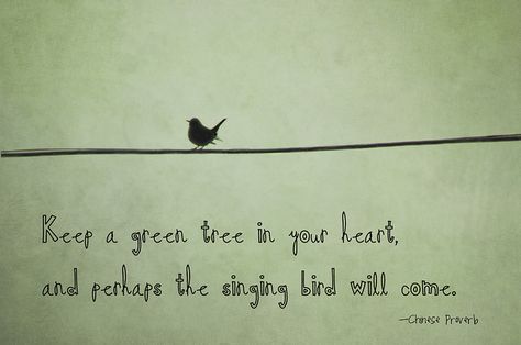 For Anna ....green tree! Birds Quotes, Birds Quotes Short, Free Bird Quotes, Feeding Birds Quotes, Bird Sayings Quotes, Singing Birds Drawing, Singing Bird Drawing, Quotes About Birds Nature, Birds Singing Quotes