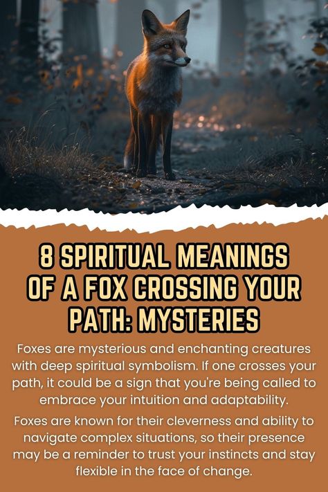 Fox Crossing Path: Spiritual Signs Fox Meaning Spiritual, Red Fox Spiritual Meaning, Fox Meaning Spirit Animal, Spiritual Animal Meanings, Fox Meaning, Fox Symbolism, Fox Quotes, Spirit Animal Meaning, Totem Animals