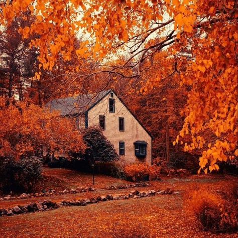 46 days until the ber months 🍂🎃🧣❄️☃️🎄🎅 #bermonths #September #october #november #december #fall #autumn #halloween #thanksgiving #winter #Christmas #newyears The Ber Months, Ber Months, September October November December, Emily Brontë, Places Worth Visiting, Halloween Facts, Halloween Board, October November December, Halloween Traditions