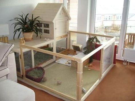 Playpen For Cats - Ideas on Foter Bunny Bedroom, Bunny Houses, Bunny Homes, Indoor Bunny, Indoor Rabbit House, Indoor Rabbit Cage, Diy Rabbit Hutch, Animal Homes, Rabbit Enclosure