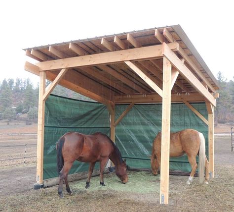 Diy Horse Shed, Easy Horse Shelter, Hay Shed Ideas, Horse Shed Ideas, Horse Sheds Shelters, Diy Pony Shelter, Cheap Horse Shelter, Horse Lean To Shelters Easy Diy, Horse Shelter Plans