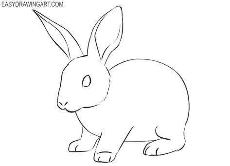 How to Draw a Rabbit | Easy Drawing Art Rabbit Sketch Simple, How To Draw A Rabbit Easy, Bunny Sketch Simple, How To Draw A Rabbit, Drawings Of Rabbits, Simple Rabbit Drawing, Rabbit Drawing Simple, How To Draw A Bunny, Rabbit Easy Drawing