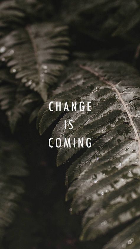 Change Is In The Air, Luna Core, Dark Crowns, Embrace The Change, Always Evolving, Change Is Coming, Chill Photos, Always Learning