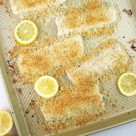 Lemon Parmesan Mahi Mahi Lemon Mahi Mahi Recipes, Mahi Mahi Recipe, Mahi Mahi Recipes, Plant Based Cheese, Dairy Free Alternatives, Citrus Twist, Parmesan Crusted, Quick Weeknight Dinners, Canned Heat