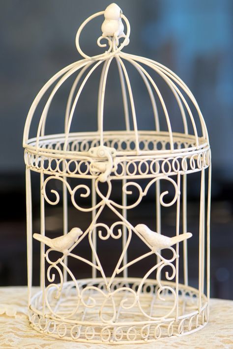 Bird cages are a lovely home decor accent, and are a great way to incorporate a vintage look into a wedding or special event. Use a bird cage as a candle holder or as a container for cards.   Check out more of our inventory online at www.eventfulcreationsonline.com to rent out items for your special event! Cage Decor, Bird Cage Decor, Birdcages, Lovely Home, Bird Cages, Bird Cage, Your Special, Vintage Look, Special Event