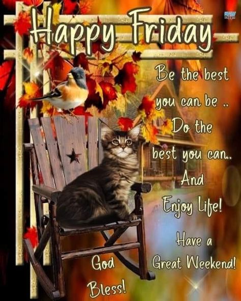 Good Friday Morning Quotes, Fall Friday, Good Friday Morning, Friday Greetings, Friday Morning Quotes, Puppy Quotes, Good Morning Happy Friday, Cute Good Morning Quotes, Friday Weekend