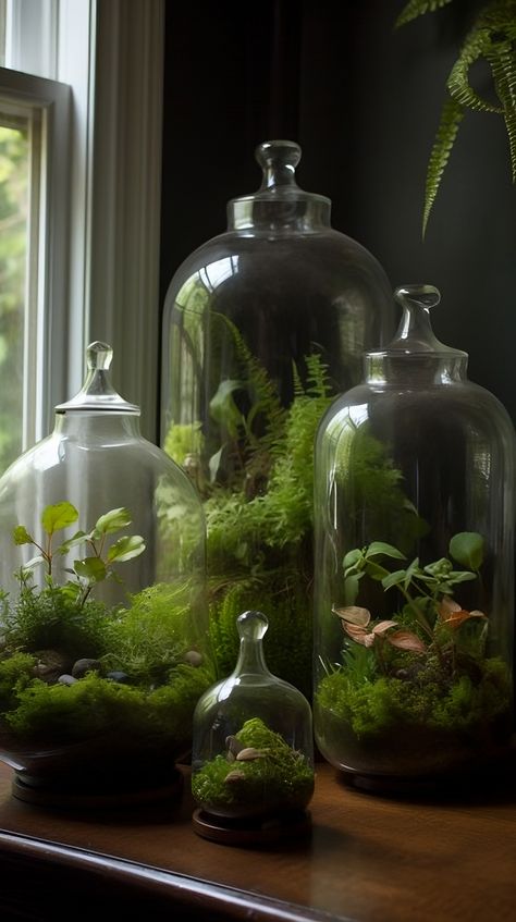 Explore the magic of miniature gardening with this lush, green terrarium. Filled with a variety of vibrant, verdant plants, it's a pocket-sized oasis that brings a calming, natural vibe to any room. Miss Ball Terrarium, Terrarium Aesthetic, Cloche Terrarium, Fern Terrarium, Flower Terrarium, Plant In Glass, Tiny Worlds, Plant Arrangements, Terrarium Ideas