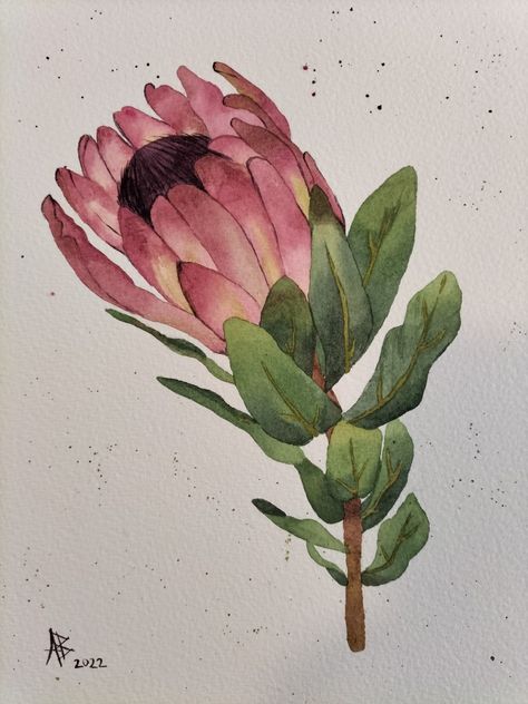 Protea Flower, South African Art, Colour Painting, Water Colours, Watercolor Painting Techniques, Water Colour, African Art, Painting Techniques, South African