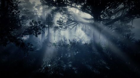 Pics For Laptop Background, Emo Widgets Long, Dark Tree Aesthetic, Dark World Aesthetic, Forest Dark Aesthetic, Horizontal Wallpaper Aesthetic, Cool Banners, Dark Desktop Wallpaper, Dark Forest Wallpaper