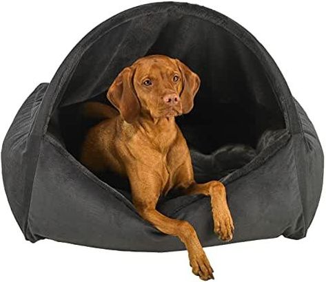 Great combination of luxury and comfort Snuggles your dog in supportive comfort Canopy Dog Bed, Dog Canopy Bed, Luxury Pet Beds, Galaxy Fabric, Elegant Bedding, Designer Dog Clothes, Faux Fur Blanket, Canopy Design, Fur Blanket