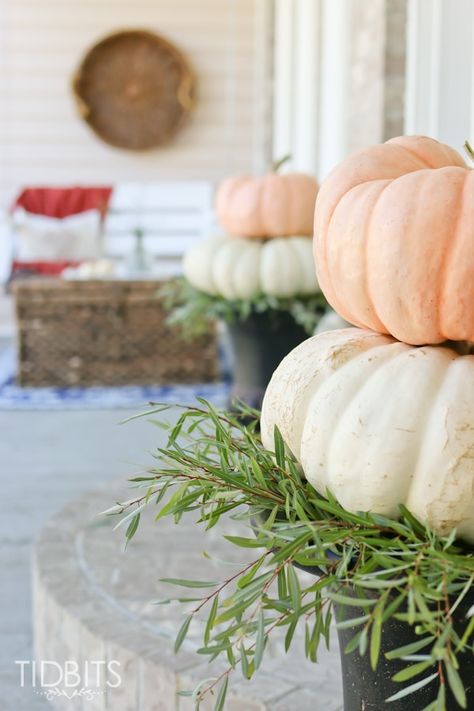 Simple and lovely Fall front porch decor. Pumpkins In Planters, Fall Urn Planter Ideas, Autumn Mums, Diy Halloween Porch, Heirloom Pumpkins, Fall Porches, Fall Diys, Autumn Farmhouse, Outside Fall Decor