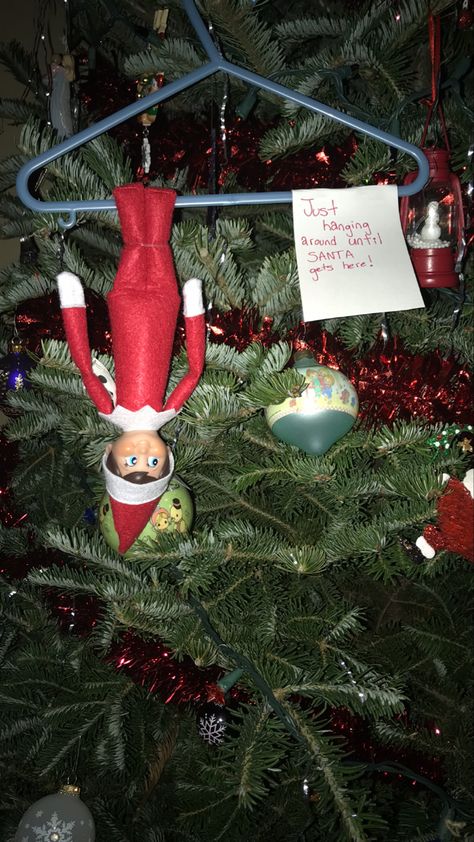 Elf on the shelf on the tree Elf On A Christmas Tree, Elf In The Tree Shelf Ideas, Elf And Christmas Tree, Elf On The Shelf Mini Christmas Tree, Elf On Shelf Tree Ideas, Elf In Christmas Tree, Christmas Tree Elf On The Shelf, Elf On The Shelf Christmas Tree, Baby Elf On The Shelf