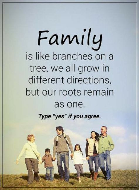 Quotes Family is like branches on a tree, we all grow in different directions, but our roots remain as one. Quotes About Family, Job Motivation, Quotes Family, Direction Quotes, General Quotes, Inspirational Verses, Morning Greetings Quotes, Love My Family, Power Of Positivity