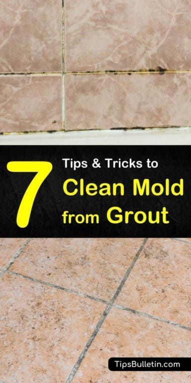 Do you know how to remove mold from shower tile? It is really hard. But with some bleach and a little baking soda, your bathroom can sparkle once again! #mold #grout #cleaning Remove Mold From Shower, Cleaning Shower Tiles, Shower Mold, Shower Grout, Bathroom Grout, Remove Mold, Cleaning Mold, Cleaning Painted Walls, Week Schedule