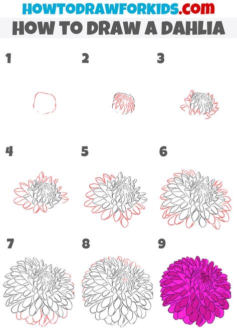 Dahlia Doodle Simple, Drawing Dahlia Flowers, Tall Flower Drawing Simple, Dahlia Drawing Sketches, Drawing Dahlias Step By Step, Easy Step By Step Flower Drawing, Dahlia Flower Sketch, How To Draw Florals Step By Step, How To Draw Zinnia Flowers