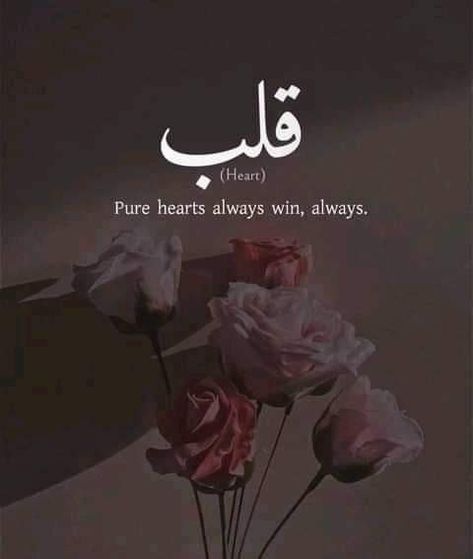 Islamic Dp Quotes, Islamic Quotes In English, Good Heart Quotes, Alhumdulillah Quotes, Winning Quotes, Love Quotes For Wedding, Tiny Quotes, Best Quran Quotes, Islamic Quotes On Marriage