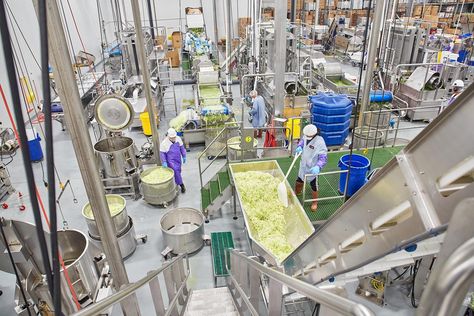 5 Advantages of Integrated Design-Build for Food and Beverage Manufacturing Projects | Ryan Companies Food Manufacturing Factory, Manufacturing Business Ideas, Food Manufacturing, Real Estate Management, Healthcare Marketing, Senior Living Communities, Manufacturing Factory, Brand Ideas, Food And Beverage