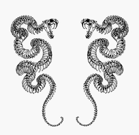 Snake Tattoo Design Stencil, Snake Skeleton Design, Snake Bone Tattoo, Snake Skeleton Drawing, Skeleton Snake Tattoo, Snake Skeleton Tattoo, Intertwined Snakes, Black And White Snake, Snake Tattoos